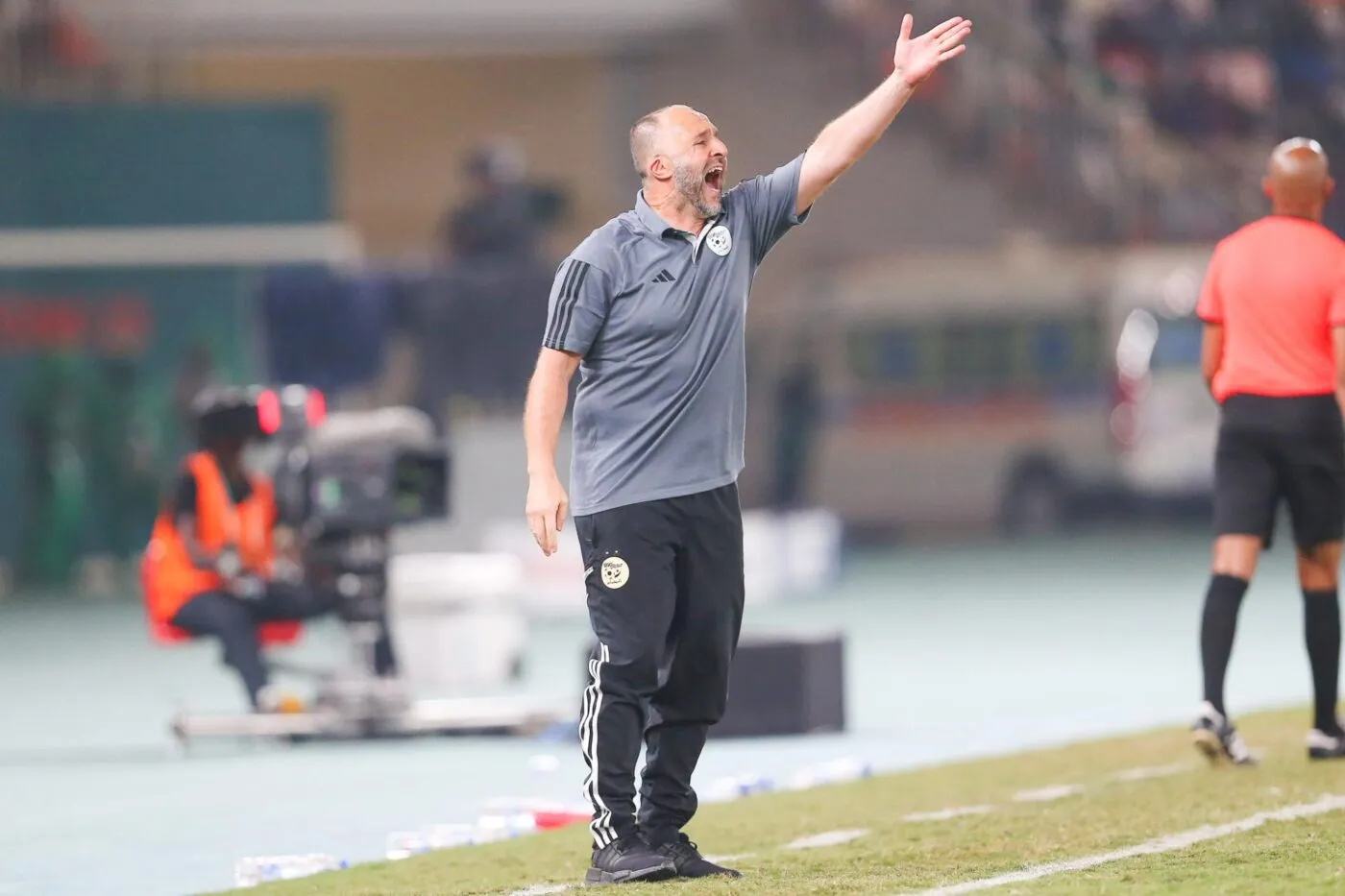 Djamel Belmadi remplace Christophe Galtier au Qatar
