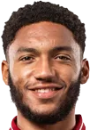 joe-gomez