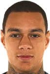 Photo du joueur Gregory van der Wiel