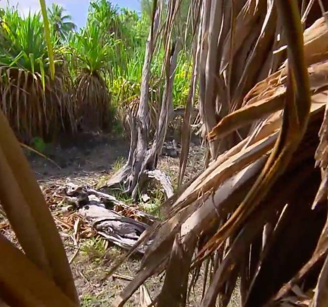 d-500078-capture-d-ecran-2021-05-28-a-11-33-15