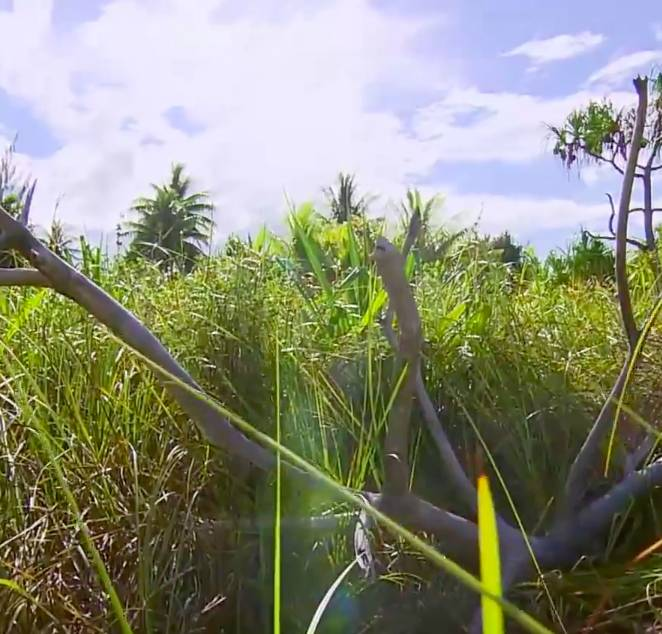 d-500078-capture-d-ecran-2021-05-28-a-11-34-29