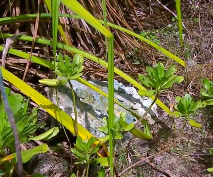 d-500078-capture-d-ecran-2021-05-28-a-11-33-35