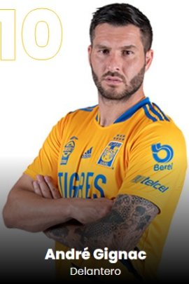 andre-pierre-gignac-16447