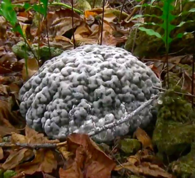 d-507975-capture-d-ecran-2021-12-07-a-15-20-35