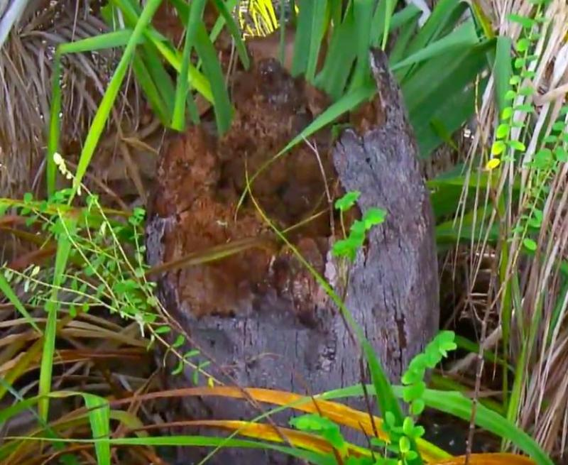 d-507975-capture-d-ecran-2021-12-07-a-15-20-49