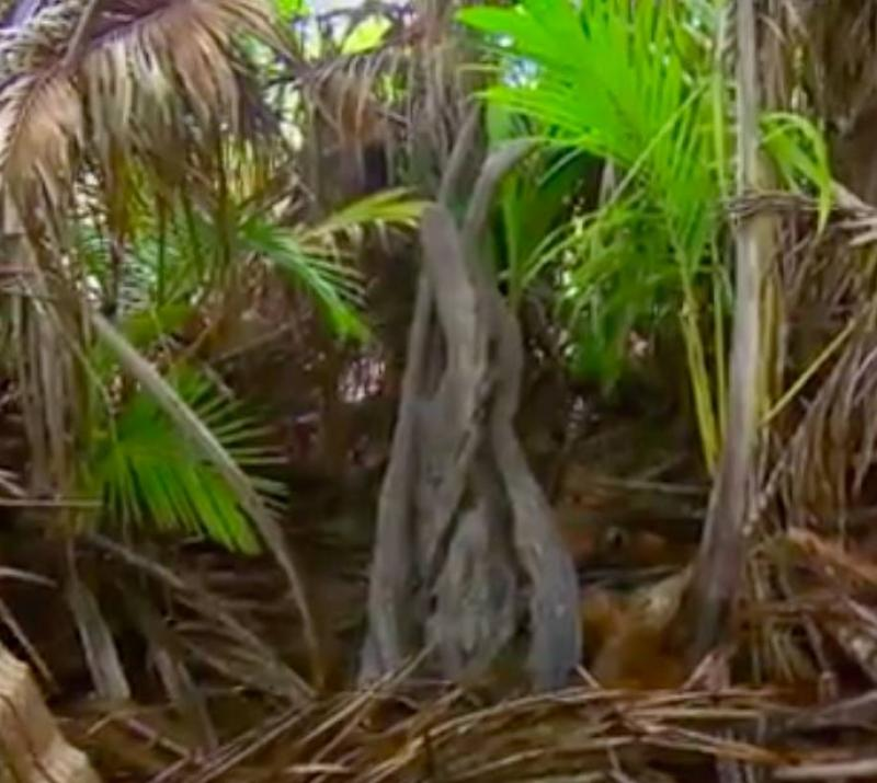 d-507975-capture-d-ecran-2021-12-07-a-15-21-02