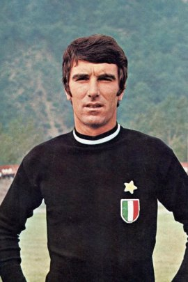 dino-zoff-11522