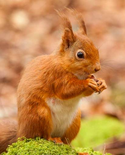 capture-d-e-cc-81cran-2019-07-07-a-cc-80-15-13-51