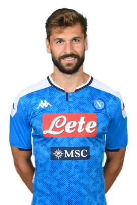 fernando-llorente-13314