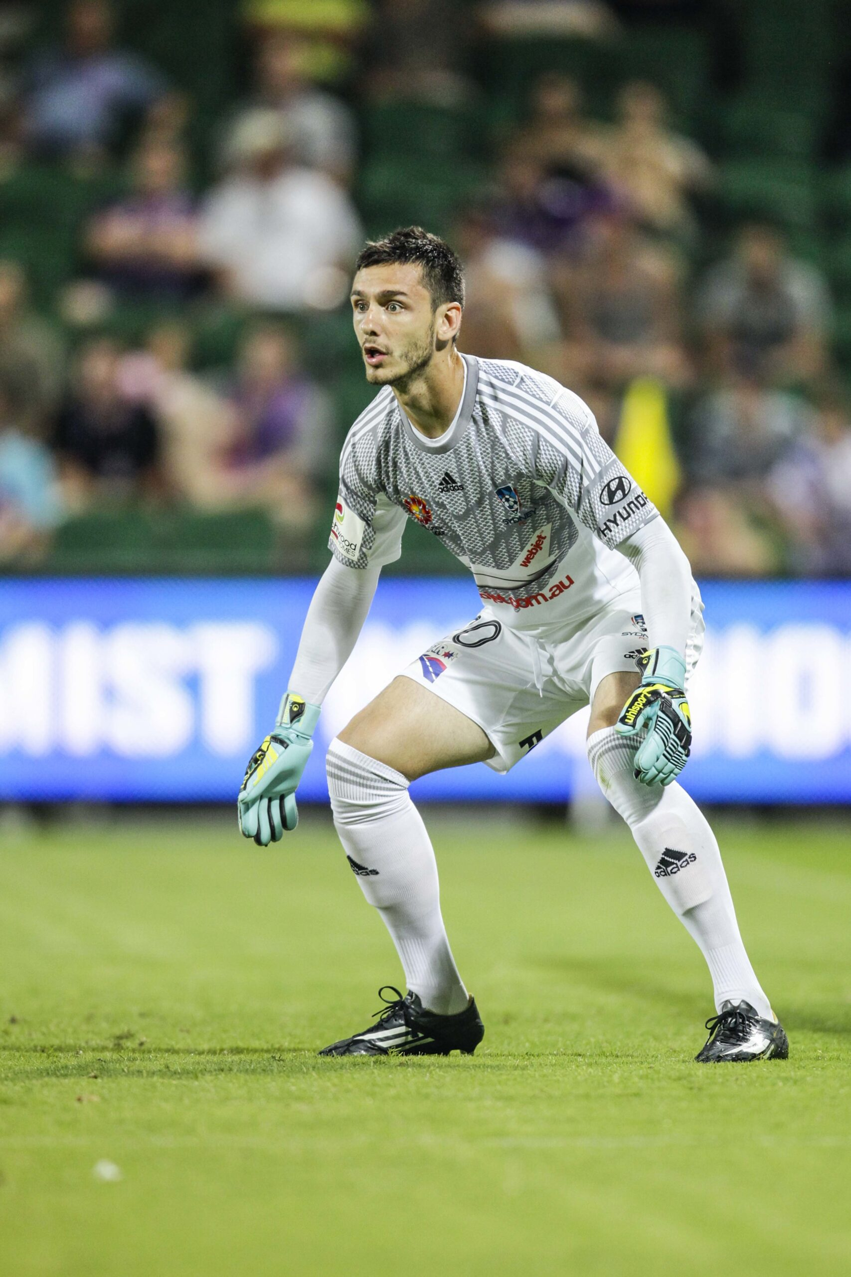 icon-acp-070215-10-04-scaled