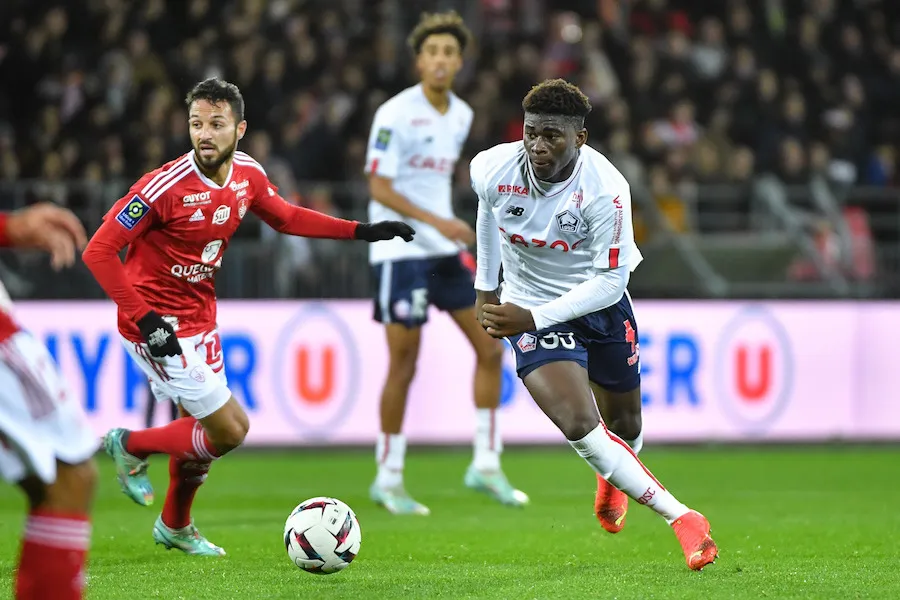Carlos Baleba, la nouvelle bombe du LOSC