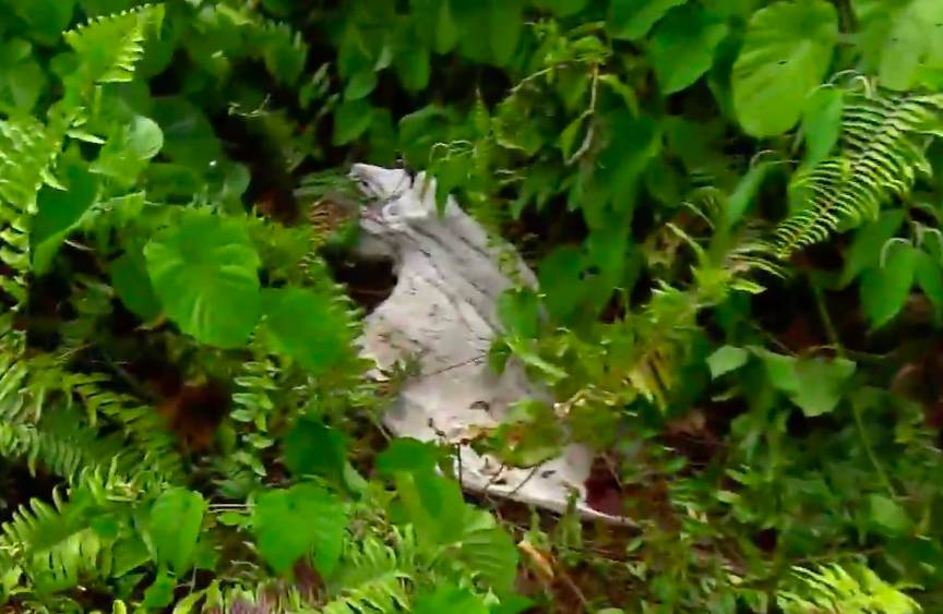 d-491975-capture-d-ecran-2020-11-27-a-12-24-11