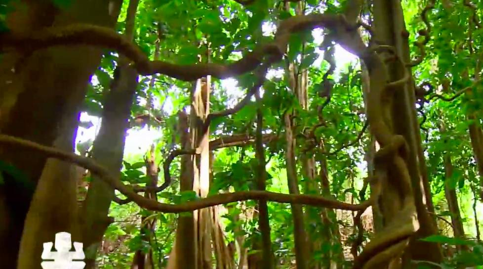 d-491975-capture-d-ecran-2020-11-27-a-12-25-23