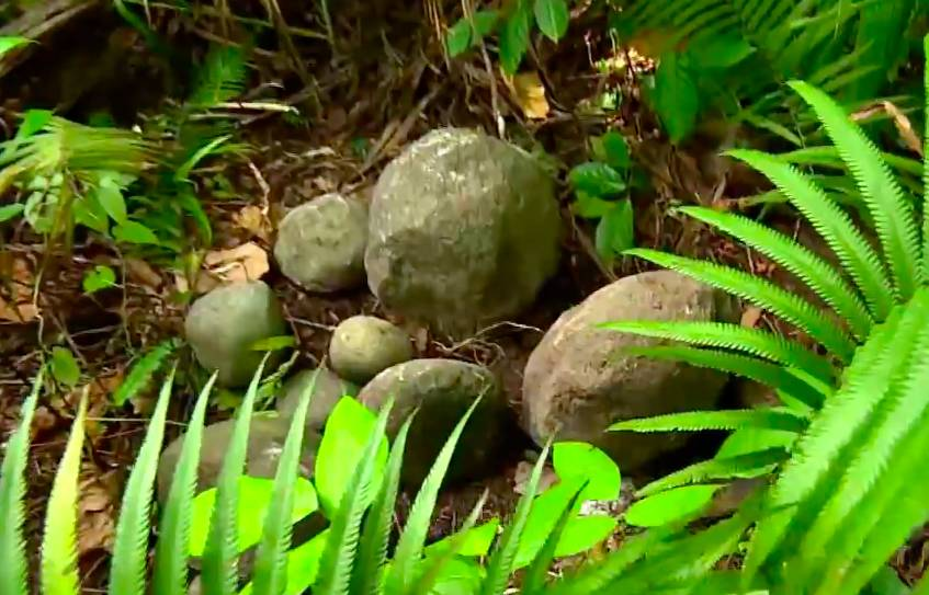 d-491975-capture-d-ecran-2020-11-27-a-12-24-33