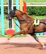 capture-d-e-cc-81cran-2018-12-12-a-cc-80-13-58-43