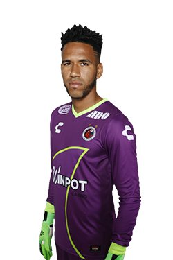 pedro-gallese-118458