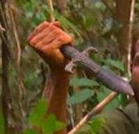 d-483938-capture-d-ecran-2020-05-29-a-22-43-00