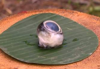 d-482148-capture-d-ecran-2020-04-10-a-23-51-33