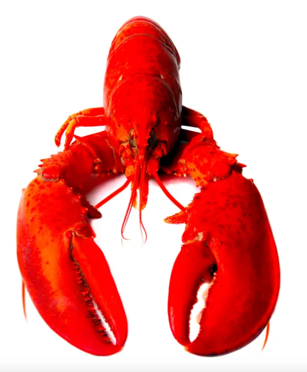 capture-d-ecran-2015-12-22-a-122427