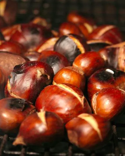 capture-d-ecran-2015-12-22-a-123352