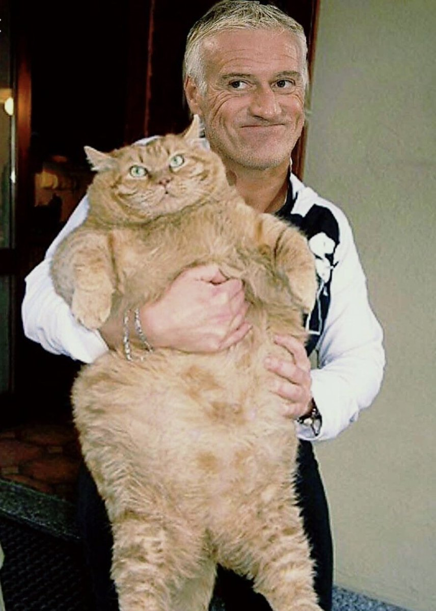 d-458129-chatte-a-dede