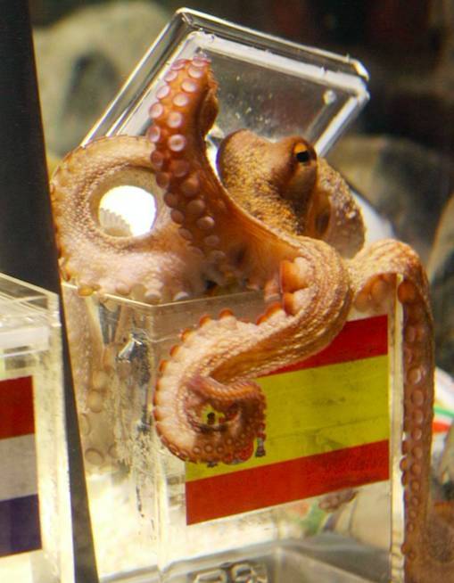 d-483584-capture-d-ecran-2020-05-20-a-17-03-19