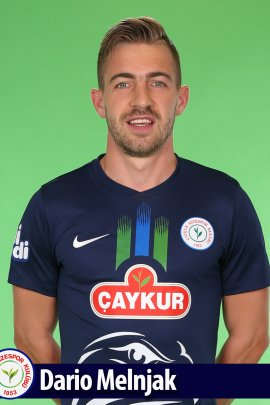 dario-melnjak-205492