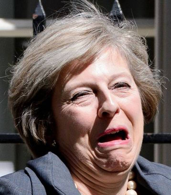 capture-d-ecran-2016-08-13-a-053247