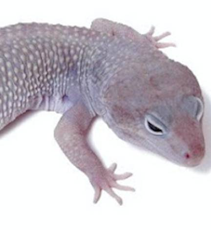 d-488971-capture-d-ecran-2020-09-25-a-14-01-09