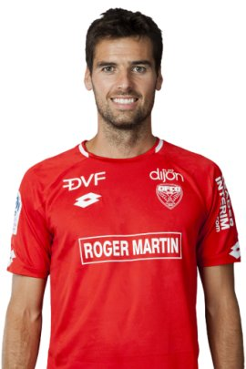 yoann-gourcuff-7547