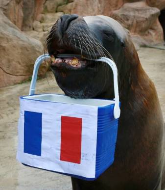 capture-d-e-cc-81cran-2016-06-13-a-cc-80-121120