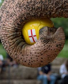 capture-d-e-cc-81cran-2016-06-13-a-cc-80-121845