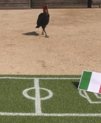 capture-d-e-cc-81cran-2016-06-13-a-cc-80-122647