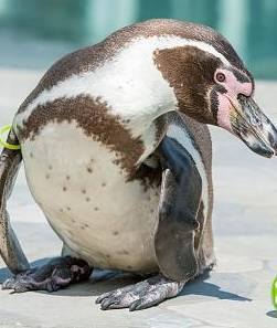 capture-d-e-cc-81cran-2016-06-13-a-cc-80-122850