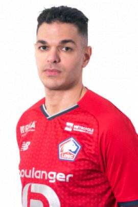 hatem-ben-arfa-9941-1