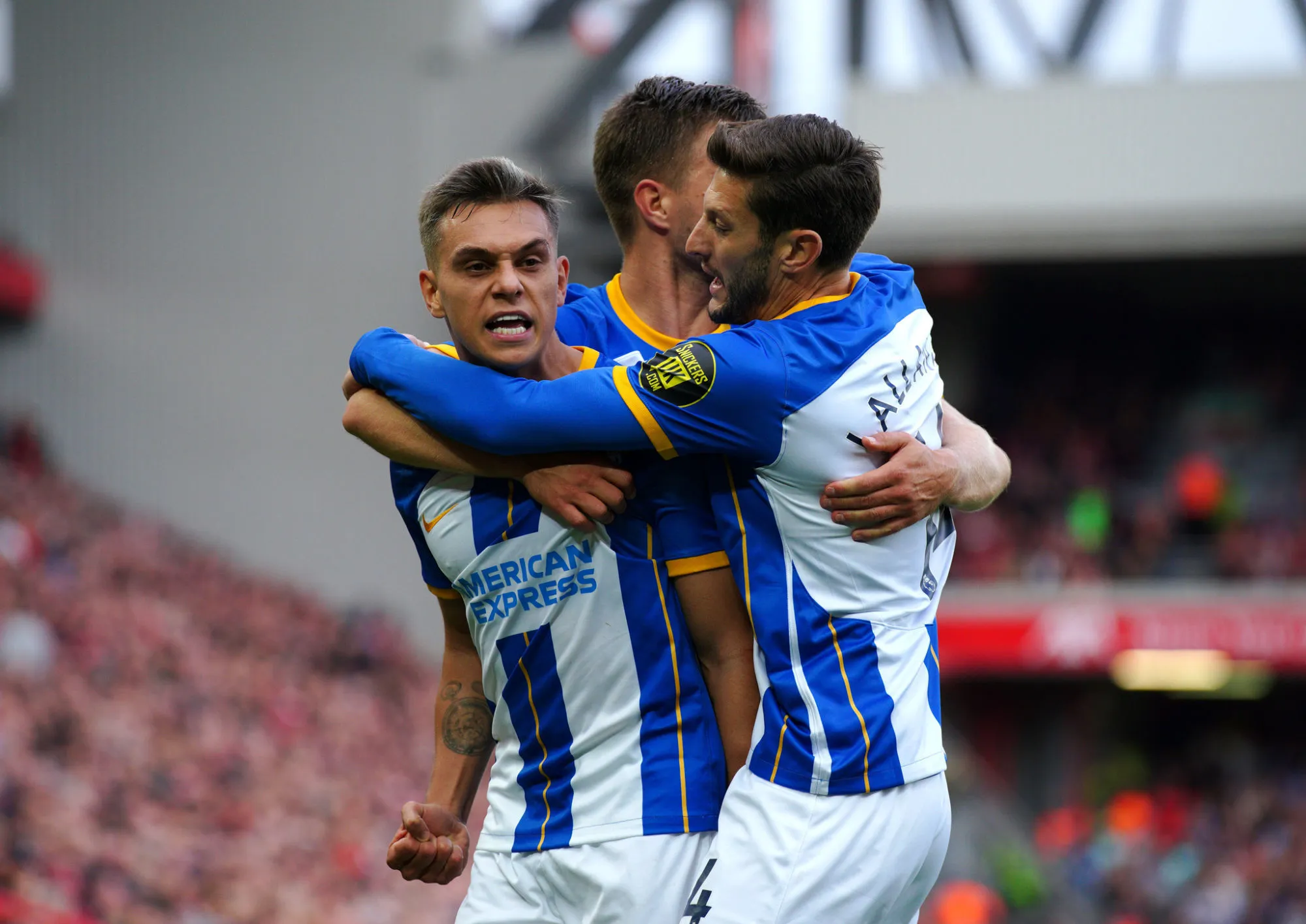 Brighton and Hove Albion's Leandro Trossard celebrates scoring their side's third goal of the game, completing his hat-trick, during the Premier League match at Anfield, Liverpool. Picture date: Saturday October 1, 2022. - Photo by Icon sport
