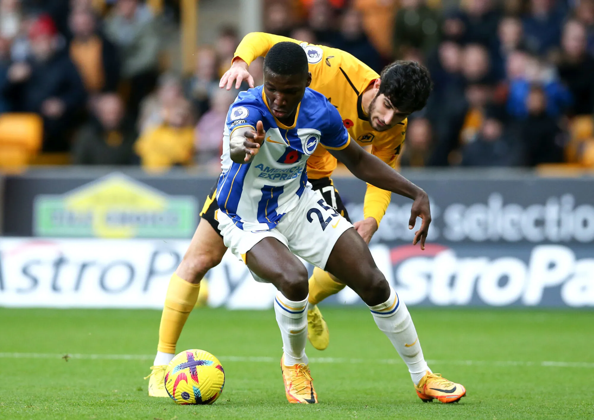 Brighton and Hove Albion's Moises Caicedo (left) and Wolverhampton Wanderers's Manuel Goncalo Guedes battle for the ball during the Premier League match at Molineux, Wolverhampton. Picture date: Saturday November 5, 2022. - Photo by Icon sport