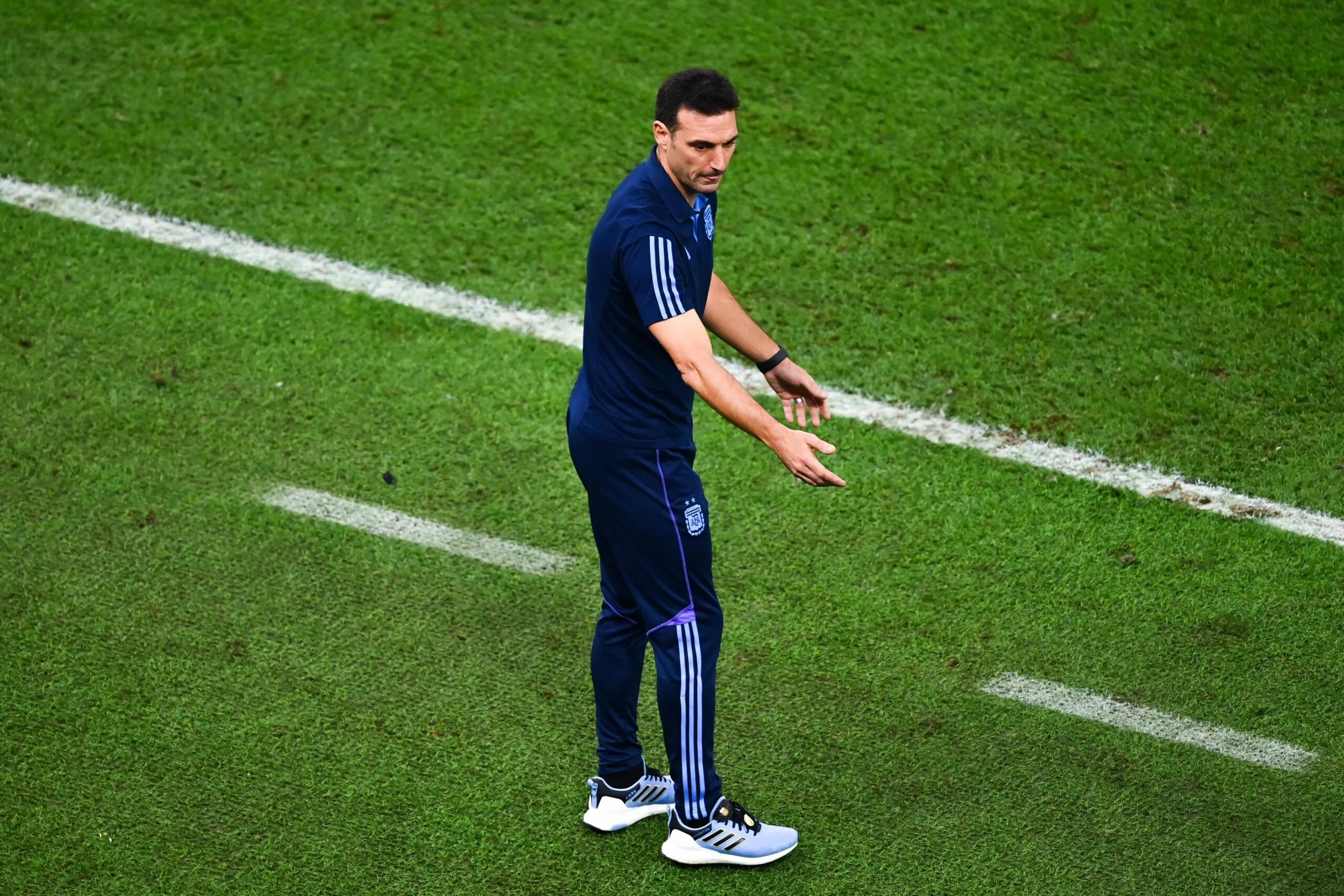 Argentine : vers une prolongation de Lionel Scaloni ?