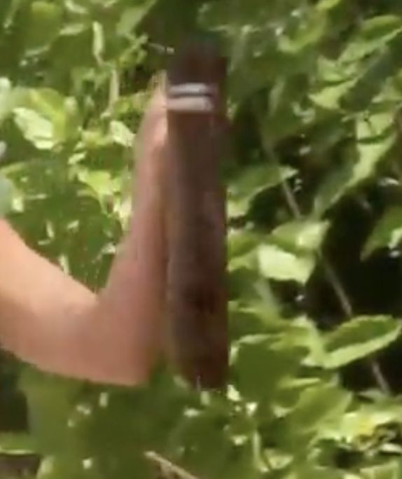 Capture-de%CC%81cran-2023-02-21-a%CC%80-10