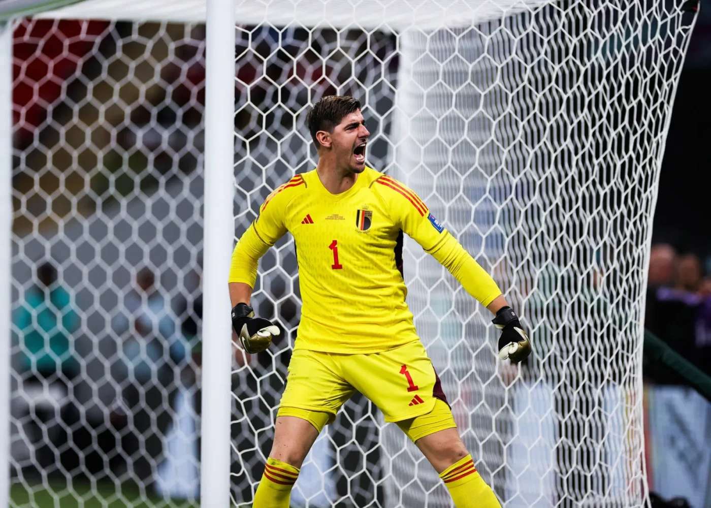 Pronostic Suède Belgique : Analyse, cotes et prono du match des qualifications pour l&rsquo;Euro 2024