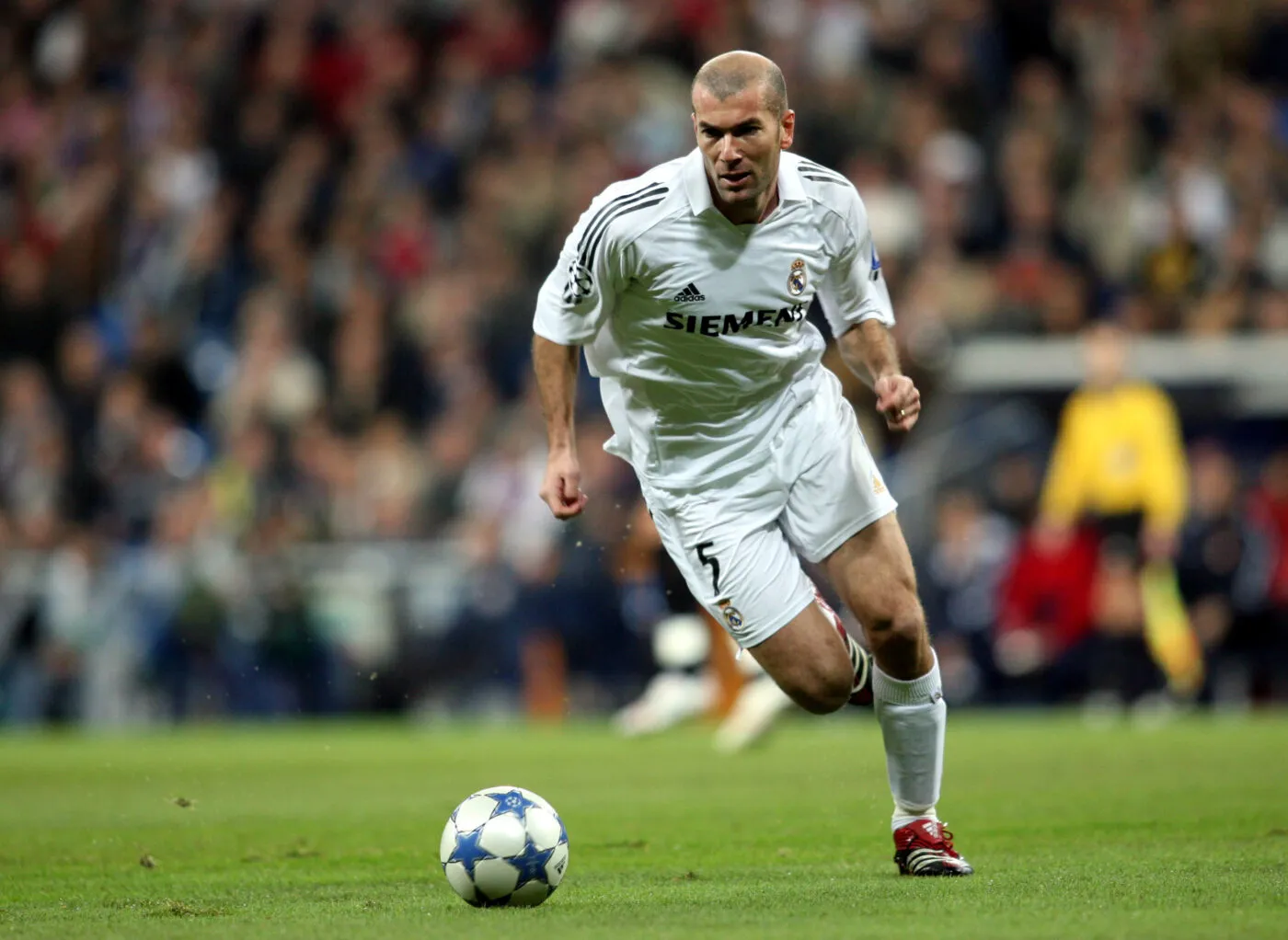 Zinédine Zidane bientôt au centre d&rsquo;une exposition à la Philharmonie de Paris