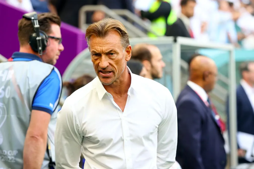 Hervé Renard, le rêve Bleues