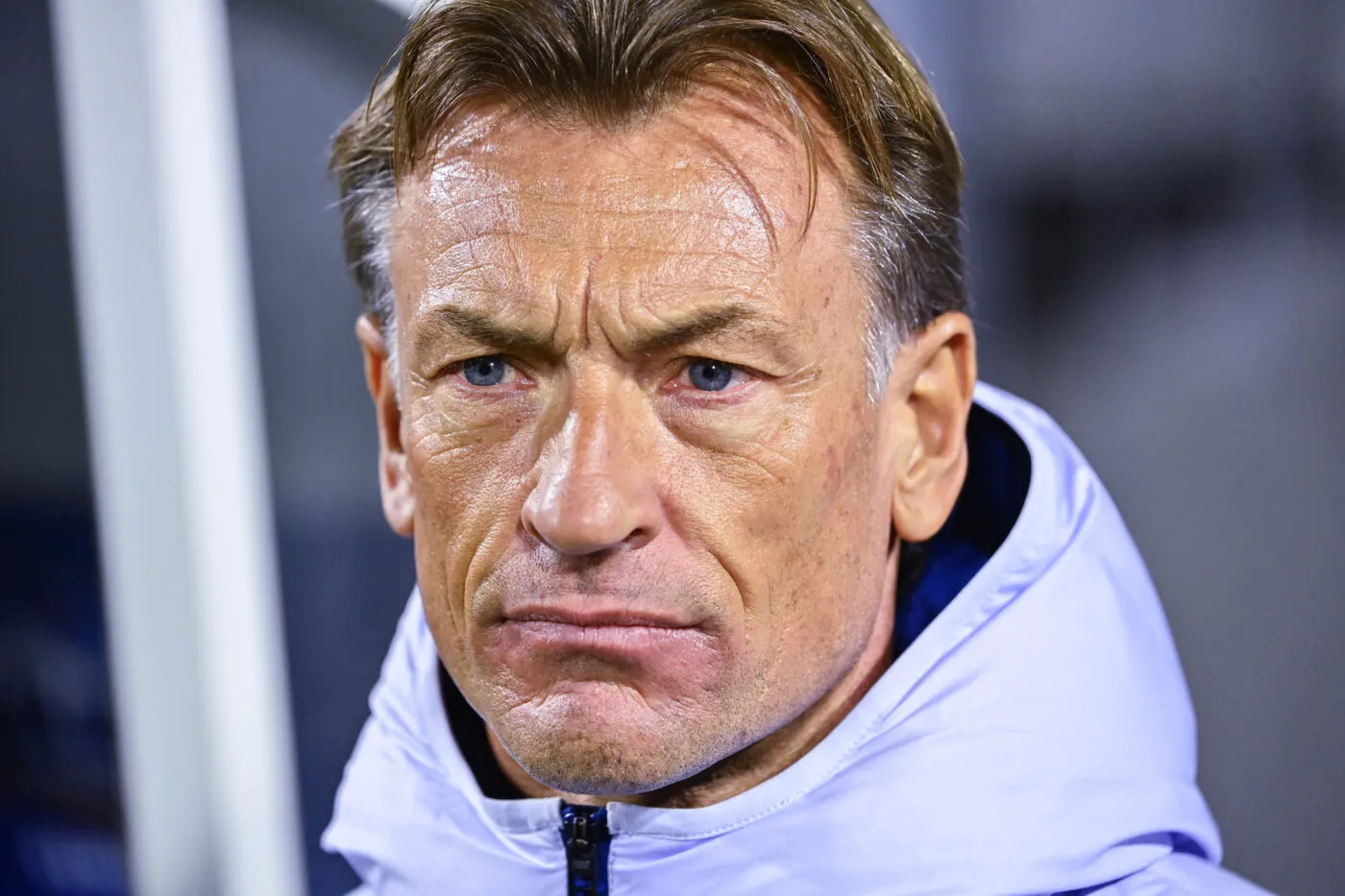 Hervé Renard lance un appel avant France-Canada : « S'il y en a qui n'ont rien à faire demain soir... »