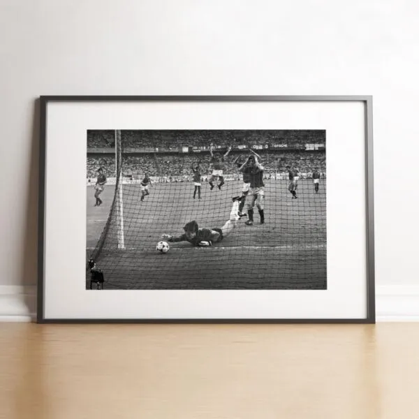 La boulette d'Arconada, 1984