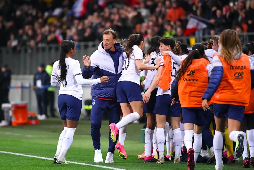 Hervé Renard : le coup de pied dans la tanière