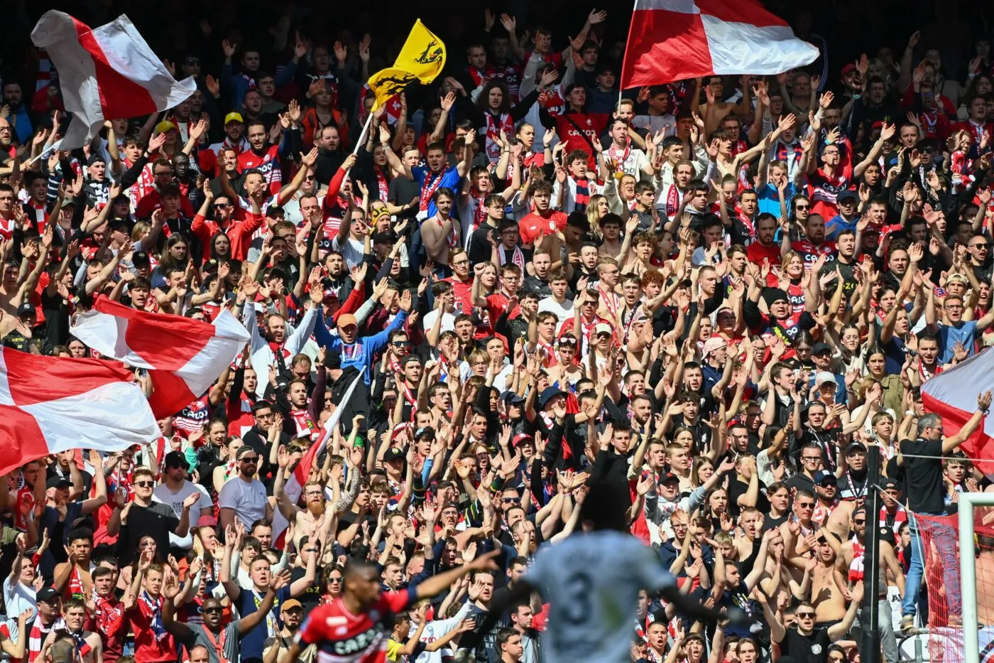 Le coup de gueule des supporters lillois auprès des joueurs