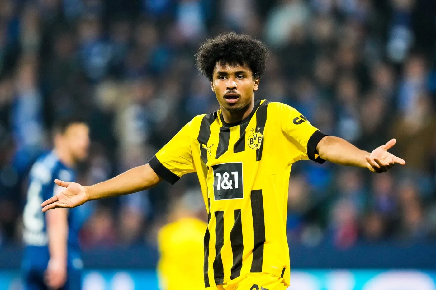 L&rsquo;arbitre de Bochum-Dortmund se sent « comme une merde »