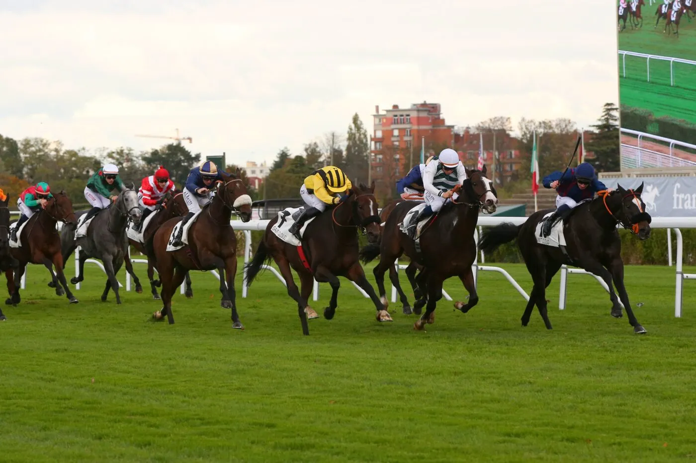 Nouveau stade du PSG : la piste de l&rsquo;hippodrome de Saint-Cloud se refroidit