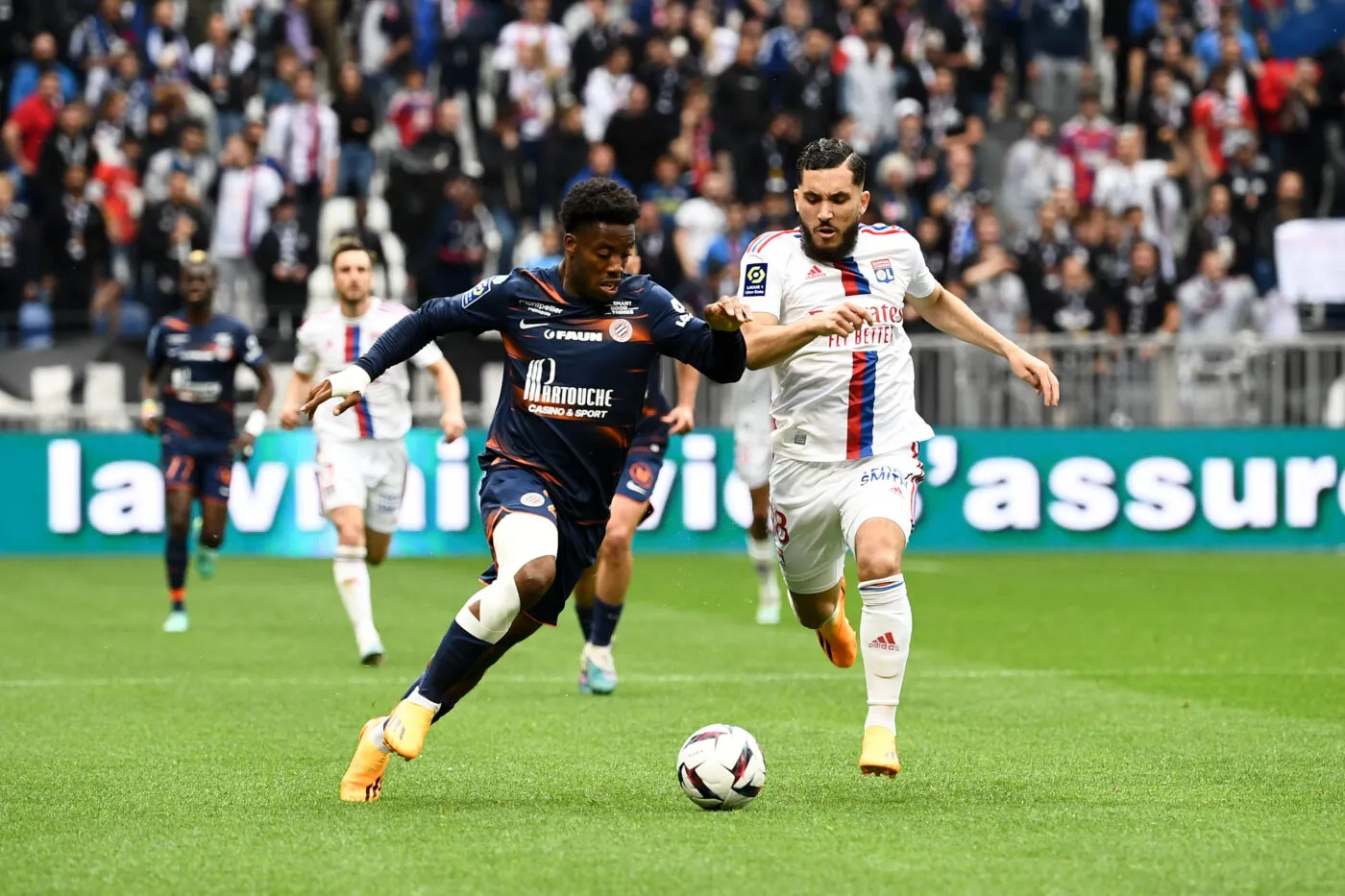 Pronostic Montpellier Lorient : Analyse, cotes et prono du match de Ligue 1