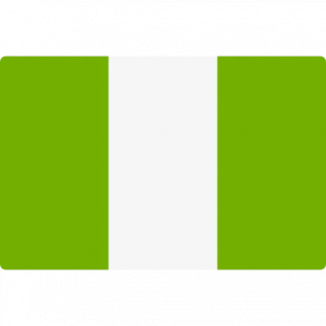 Logo de l'équipe Nigéria